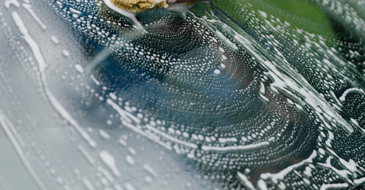 Questions to Ask Before Hiring a Mobile Detailer