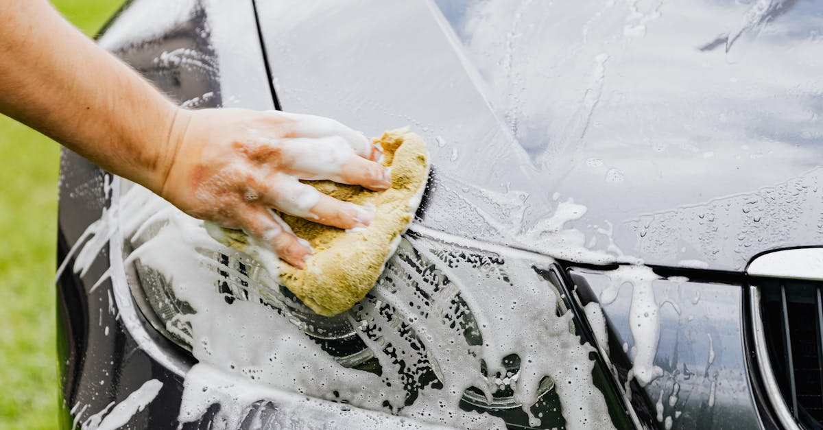 Step-by-Step Guide to Conditioning Leather Seats