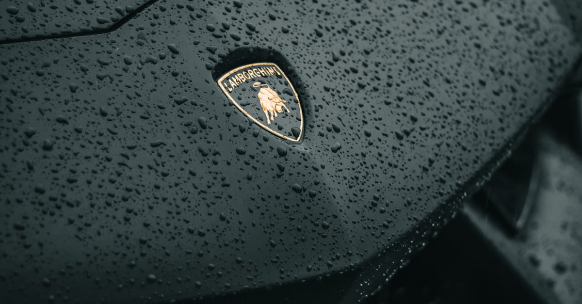 The Importance of Regular Leather Conditioning for Vehicle Longevity